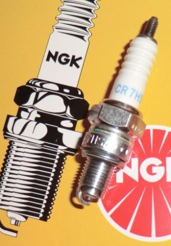 s-l500nZAn7mULh6E8o NGK CR8HSA Zündkerze 10mm