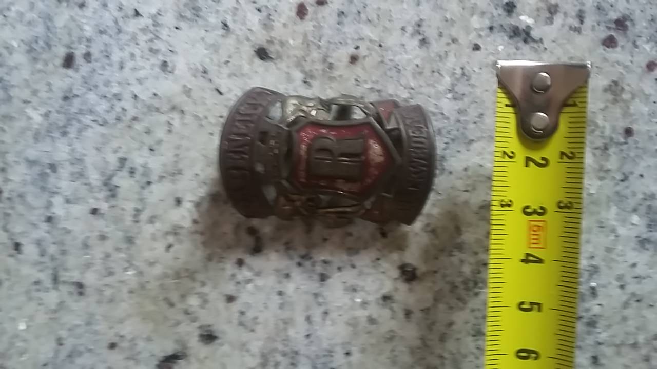 20170930_084604 Rabeneick Schutzblechreiter Fahrrad Schutzblech Emblem